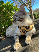 Virgil Leopard Luxe Velvet Harness