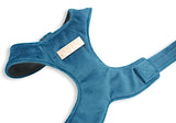 Royal Blue Luxe Velvet Harness