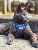 Star Gazer Luxe Velvet Harness