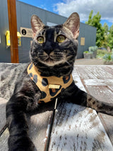 Virgil Leopard Luxe Velvet Harness