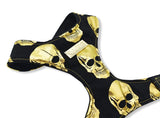 Outlaw Skull Harness