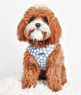 Billie Polka Dot Harness