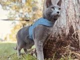 Hugo Denim Jacket Harness