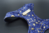 Star Gazer Luxe Velvet Harness
