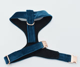 Royal Blue Luxe Velvet Harness