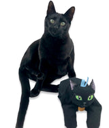 Black Comfort Cat