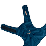 Royal Blue Luxe Velvet Jacket Harness