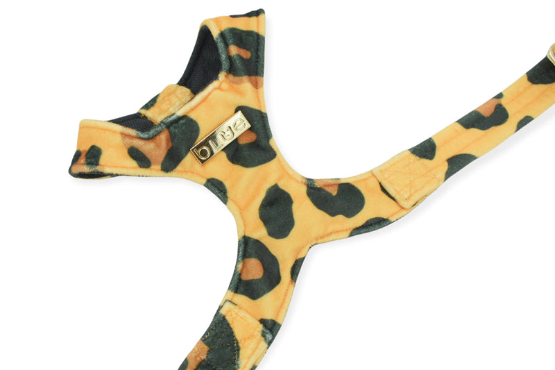 Virgil Leopard Luxe Velvet Harness