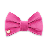 Hot Pink Luxe Velvet Bow