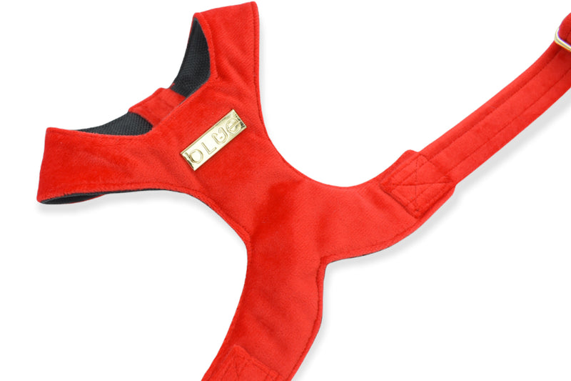 Bright Red Luxe Velvet Harness